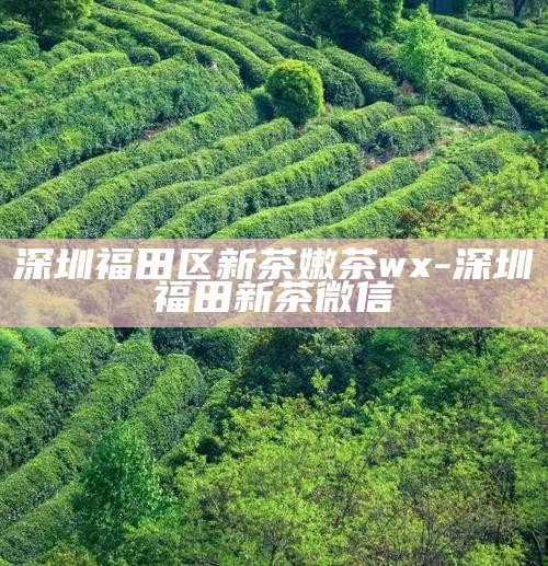 深圳福田区新茶嫩茶微信推荐