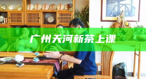 广州天河新茶上课