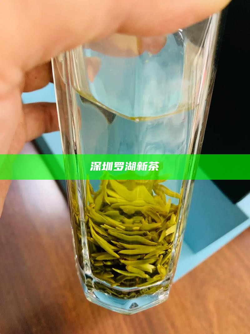 深圳罗湖新茶