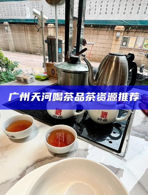 广州天河喝茶品茶资源推荐