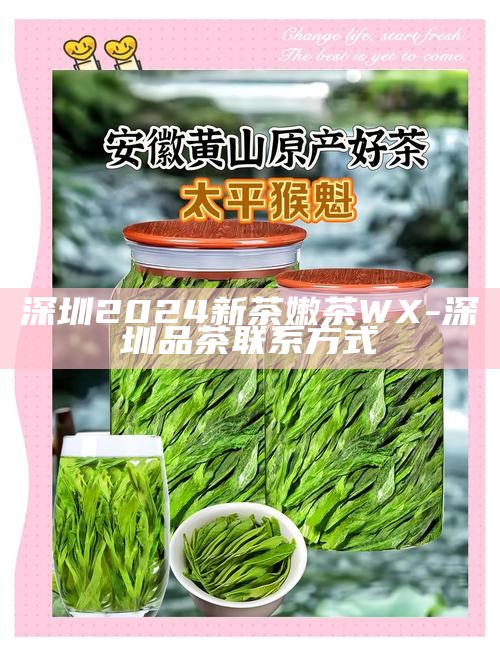 深圳福田区新茶嫩茶wx