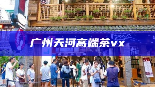 广州天河高端茶vx