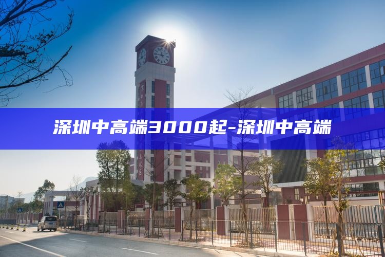 深圳中高端3000起-深圳 中高端